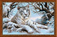 White tiger1.jpg