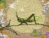 276868-b9a3e-83709196-m750x740-uec506.jpg