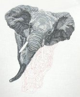 tltanjaberlin-elephant12.jpg