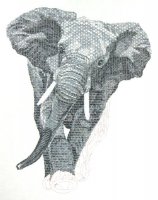 tltanjaberlin-elephant14.jpg