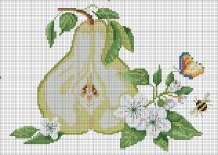 DMC_xxx_Pear.jpg