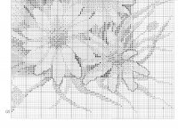fehérvirág15.jpg