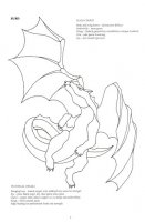 Dragon wings and faerie things - 07.jpg