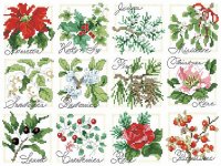 cross-stitch-pdf-pattern-christmas-botanical-ornaments-from-kooler-design-studio-3.jpg