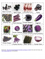fruit-vegetable-by-color-7.png