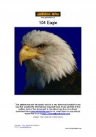 104 Eagle-page-001.jpg