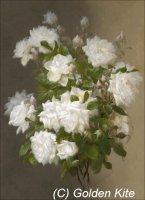 2105 . White Roses.jpg