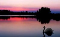 upload_2016-7-21_12-39-45.jpeg