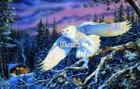 White-owl-flying-in-the-sky-pictures-printed-on-canvas-high-quality-wall-painting-for-iiving.jpg
