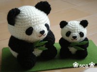 panda.img_0.jpg