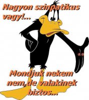 Nagyon szimpatikus vagy.jpg