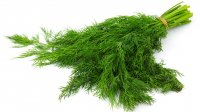 Kulonos_gyogyito_a_konyhaban_a_kapor_16x8.jpg