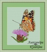 Александра Кyлакoва - Butterfly.jpg