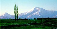 ararat1.jpg