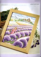 lavender field (5).jpg