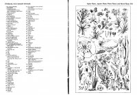 664-665 Havasi vizi és mocsári növények.JPG