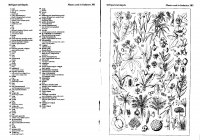 674-675 Ipari növények.JPG