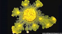 rejtélyes sárga nyálkás organizmus franciaország párizs -2019-új világtudat.jpg