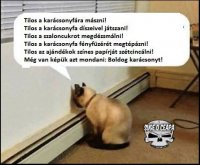 Boldog karácsonyt -15.jpg