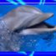 delfintu