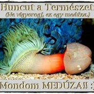 Medrr
