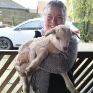 Tóthfalusiné Dévényi Móni