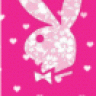 bunny79