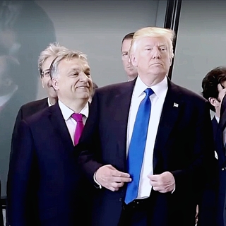 45963.jpg