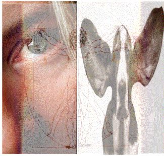 vak.gif