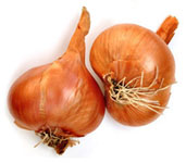 allium_ascalonicum4.jpg