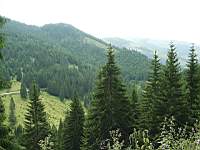 TN_07240015.JPG