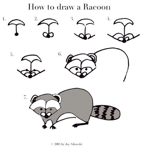 racoon.jpg