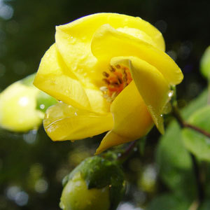 BIG_0004819958.jpg