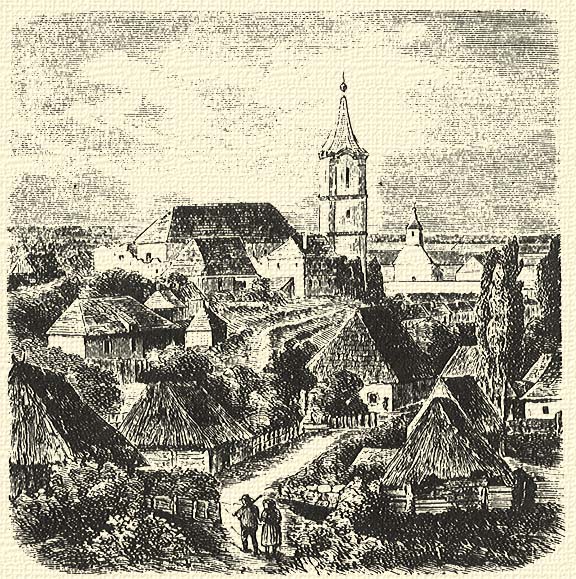 erd-0182.jpg