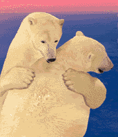 clipart_animals_bears_019_a2zcds_co.gif