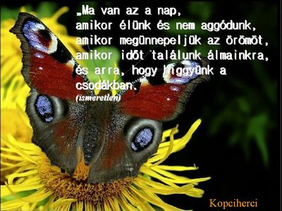 8008_63a328e0a0ed7832d0c8c3fbedcf9653_small.JPG