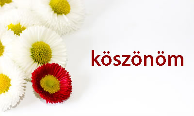 small_1180259001koszonom.jpg