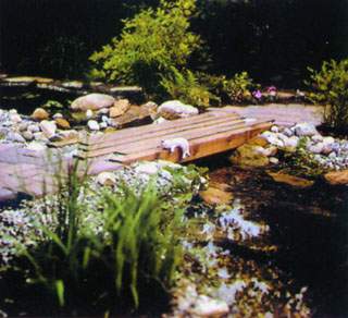 buru03.jpg