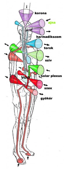 csakrakep1.jpg