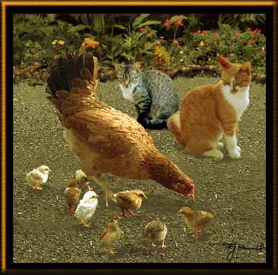 GAL2.CATS.CHICKS.JPG