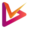 vidomon.com