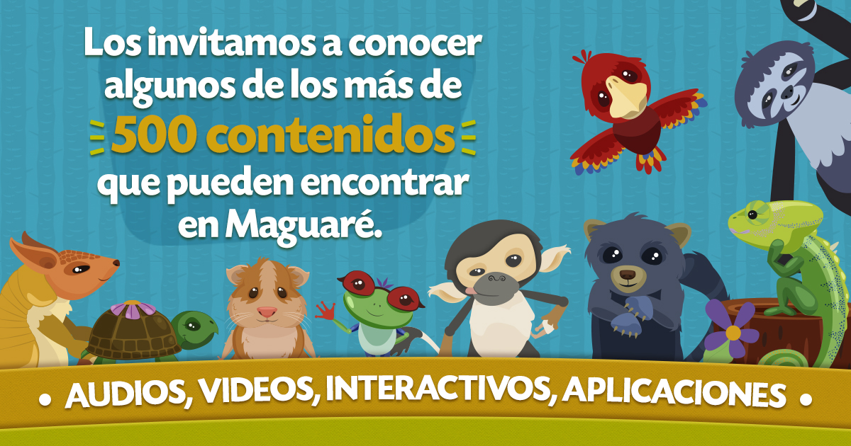 maguare.gov.co