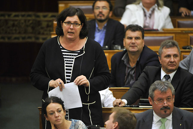 20121129-ertsey-katalin-az-lmp-orszaggyulesi-kepviseloje3.jpg