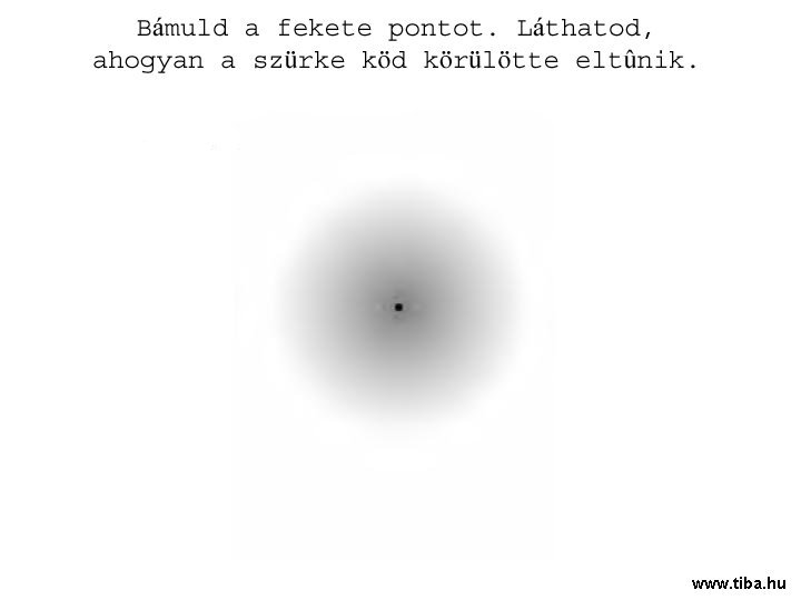 www.tvn.hu_23cdf6abdf625b83d1c0eaa4f8698c27.jpg