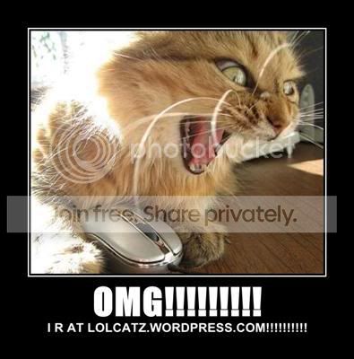 omg-i-r-at-lolcatzwordpresscom.jpg