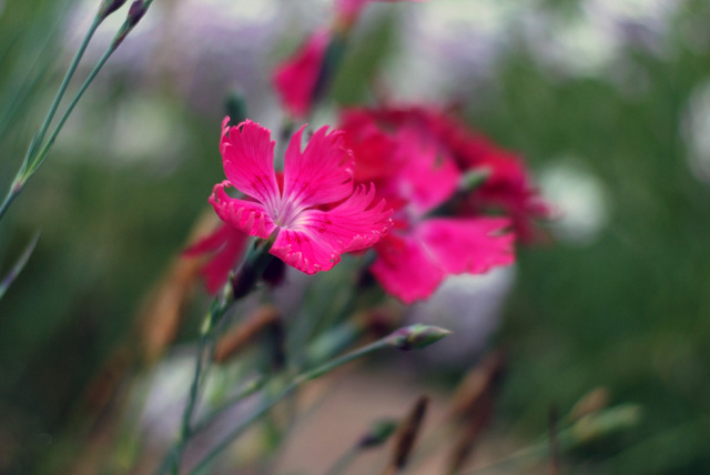 BIG_0005022506.jpg