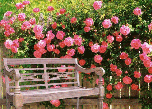 www.tvn.hu_b90f399fc10a7788b63781779e8e2077.gif