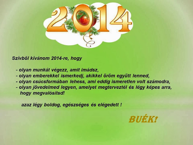 BU%C3%89K2014.jpg