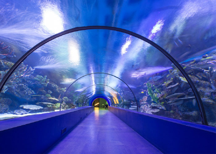 underwater1.jpg