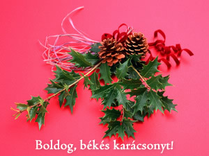 karacsony7.jpg